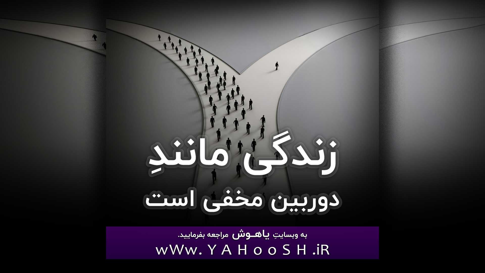 زندگی مانندِ دوربین مخفی است